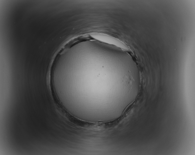 X0000087530148200705251706