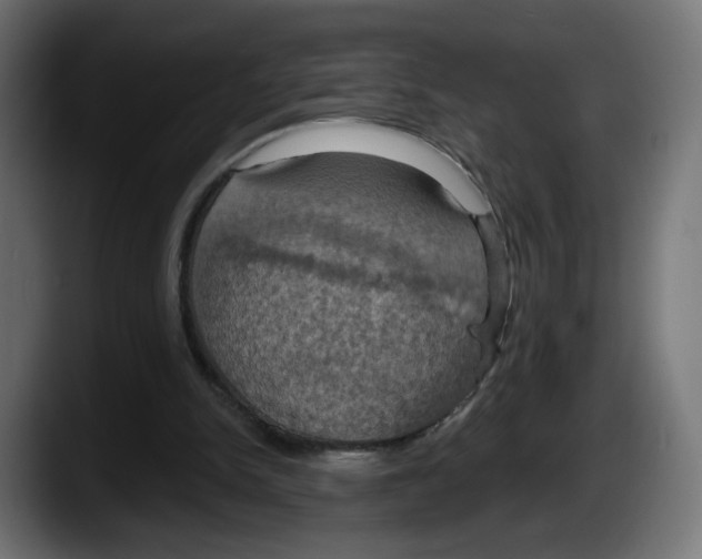 X0000087530150200705251706
