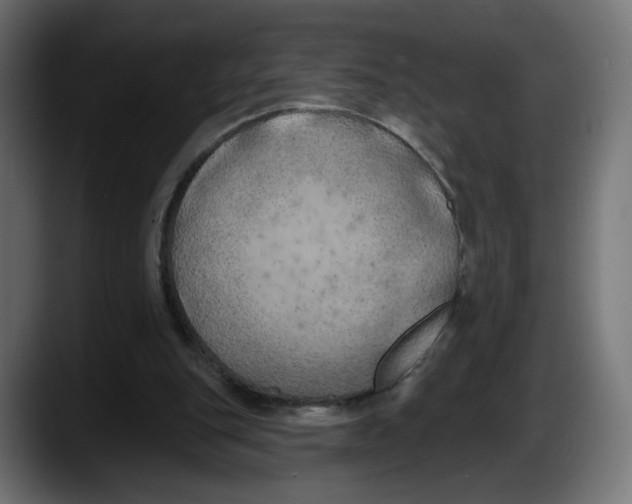 X0000087530151200705251706