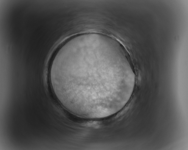 X0000087530152200705251706