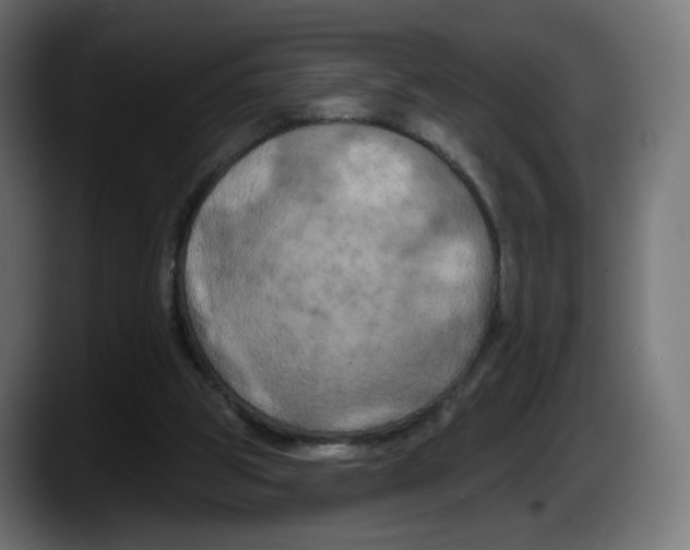 X0000087530153200705251706