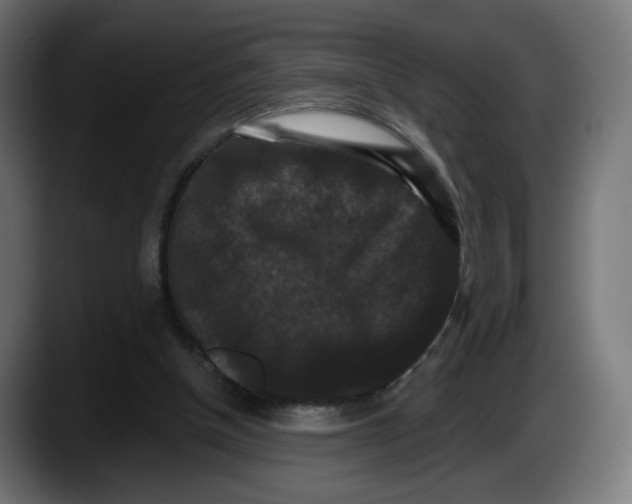 X0000087530154200705251706