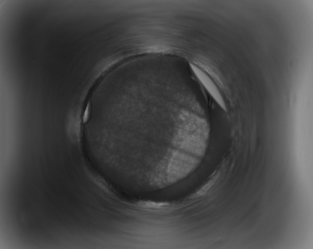 X0000087530156200705251707