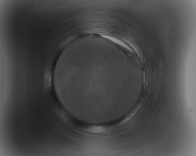 X0000087530157200705251707