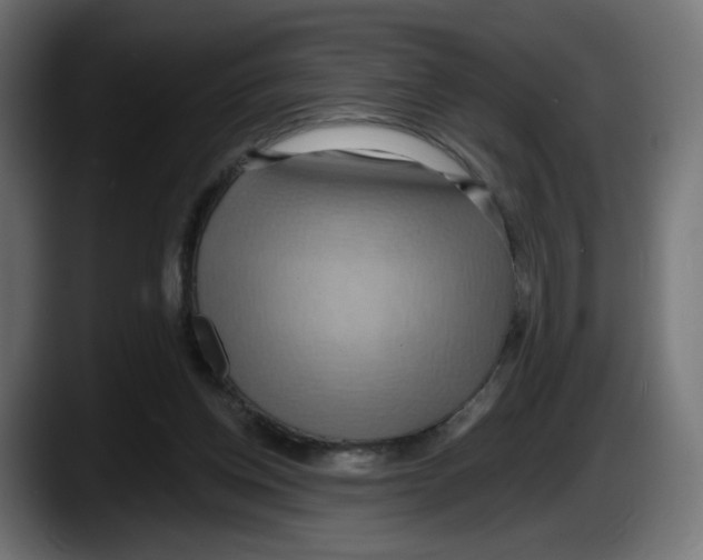 X0000087530158200705251707
