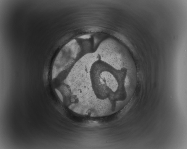 X0000087530159200705251707