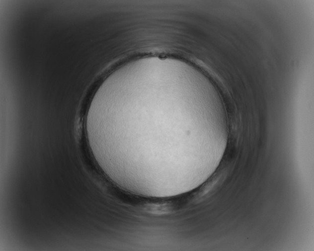 X0000087530160200705251707