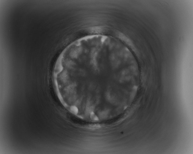 X0000087530161200705251707