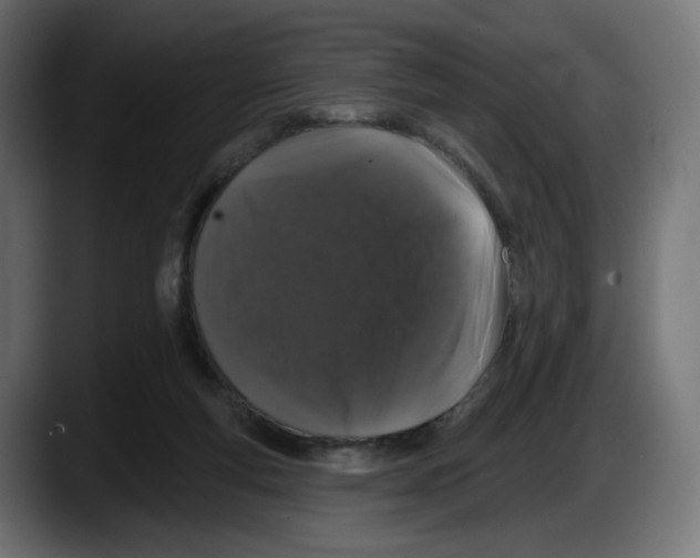 X0000087530163200705251707