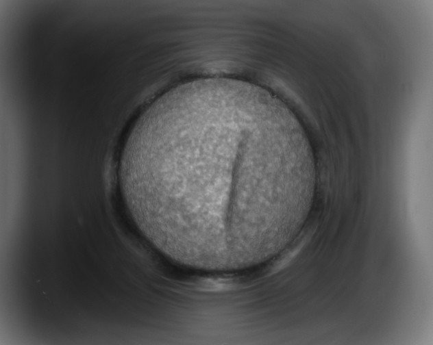 X0000087530164200705251707