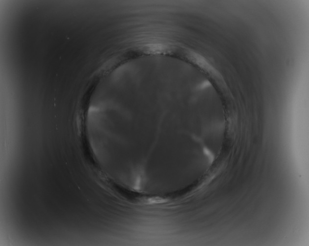X0000087530165200705251707