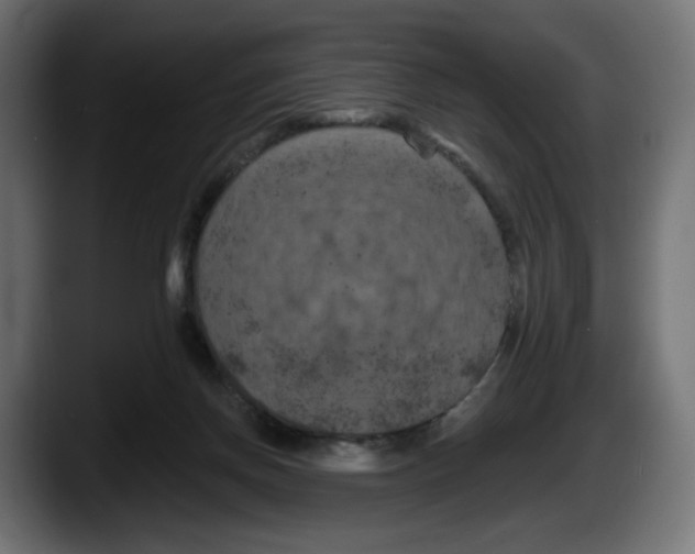 X0000087530166200705251707