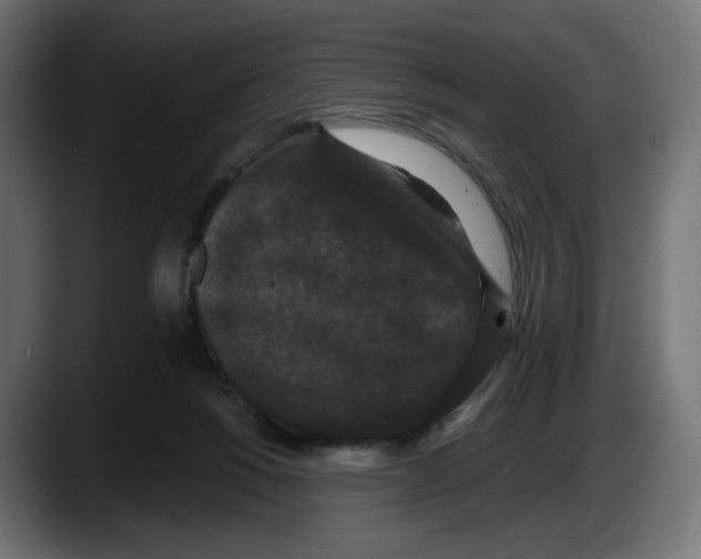X0000087530168200705251707