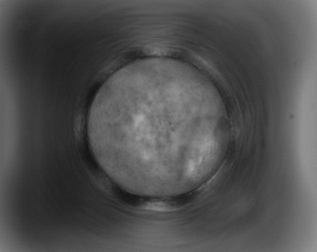 X0000087530171200705251707