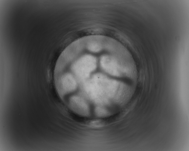 X0000087530173200705251707