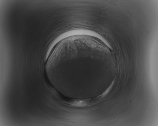 X0000087530174200705251707