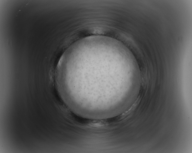 X0000087530175200705251707