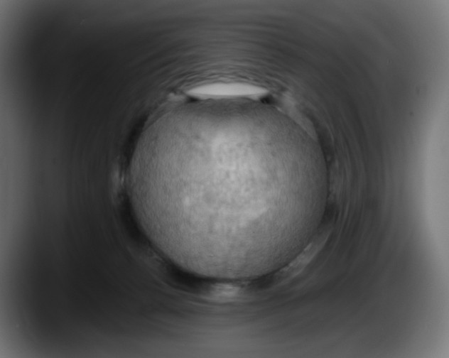 X0000087530176200705251707
