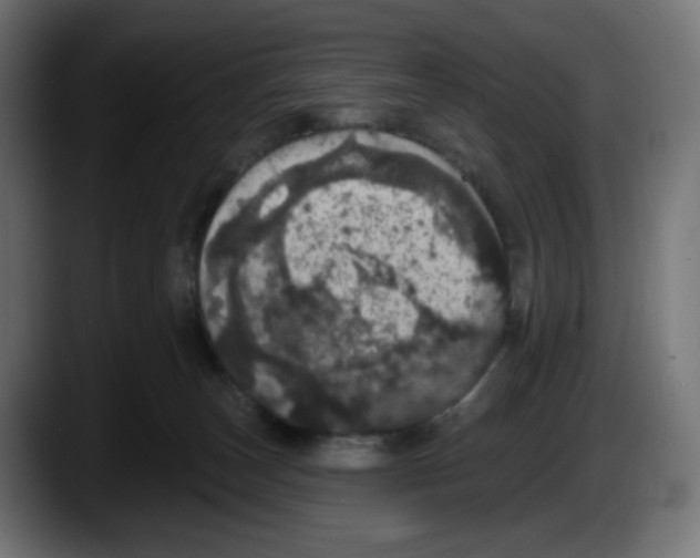 X0000087530179200705251707