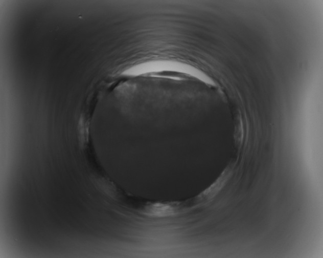 X0000087530180200705251707