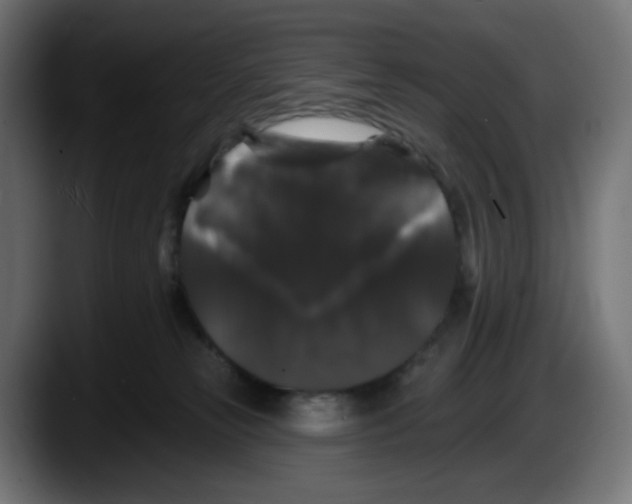 X0000087530181200705251707