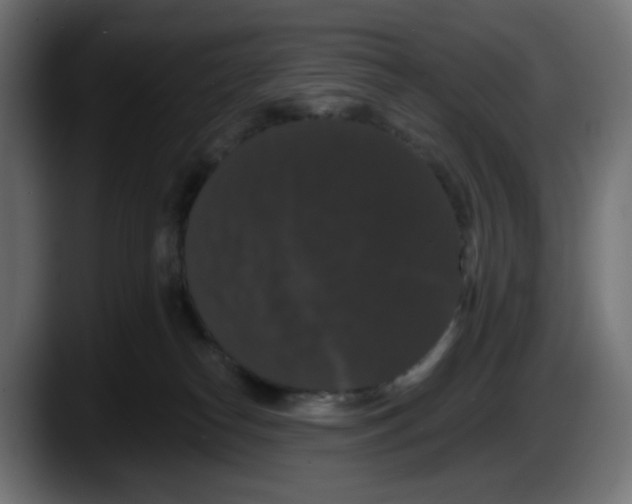 X0000087530182200705251707