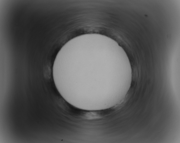 X0000087530183200705251707