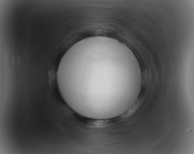 X0000087530184200705251707