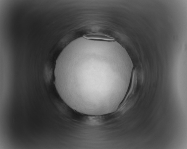 X0000087530188200705251707