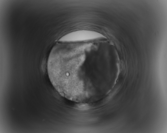 X0000087530189200705251707