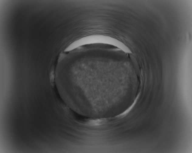X0000087530190200705251707