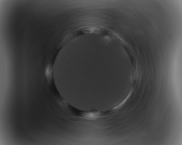 X0000087530191200705251707