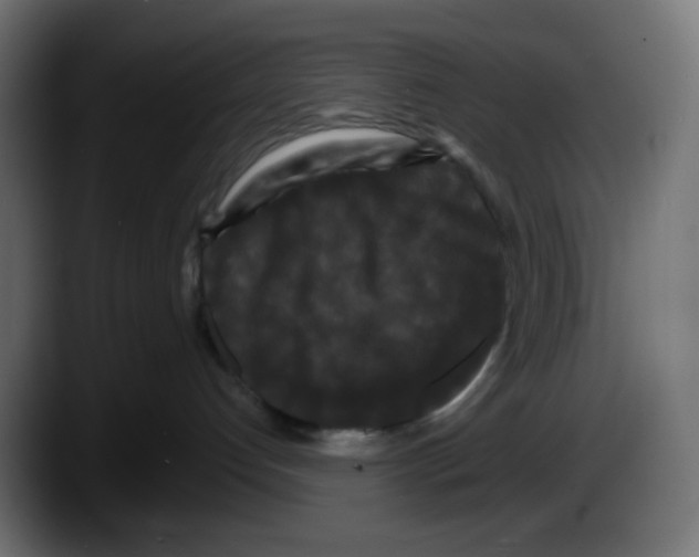 X0000087530192200705251707