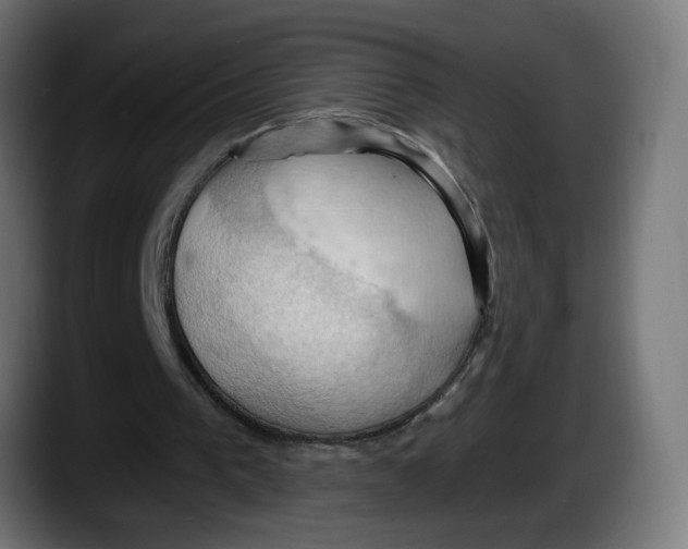 X0000087530193200705251706