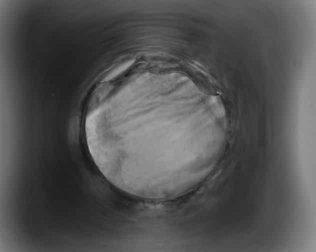 X0000087530194200705251706