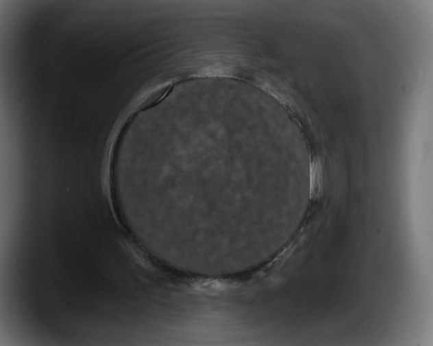 X0000087530195200705251706
