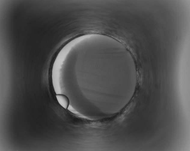 X0000087530196200705251706