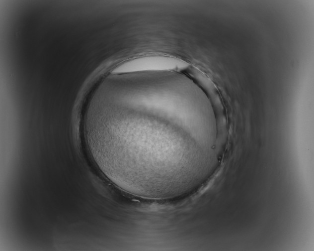X0000087530197200705251706