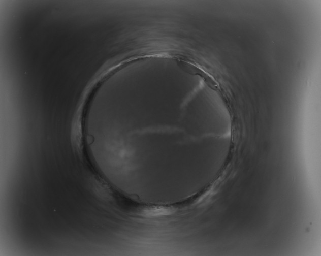 X0000087530198200705251706