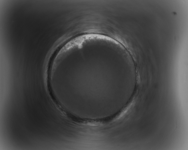 X0000087530199200705251706