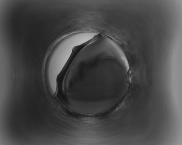 X0000087530200200705251706