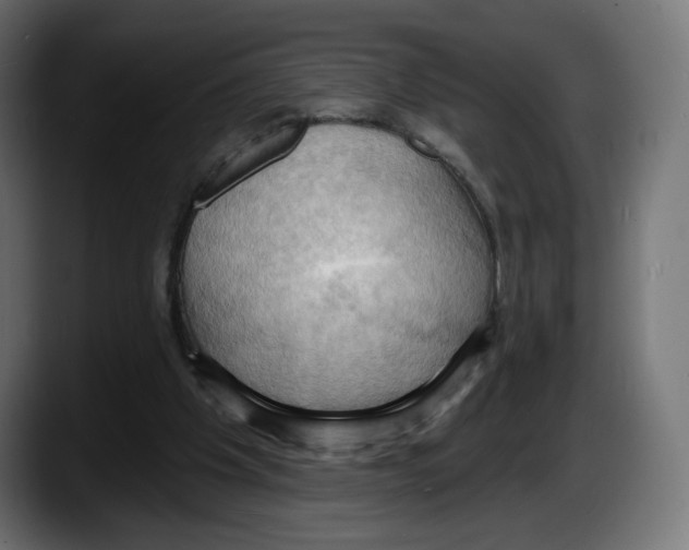 X0000087530201200705251706