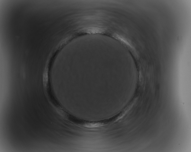 X0000087530202200705251706