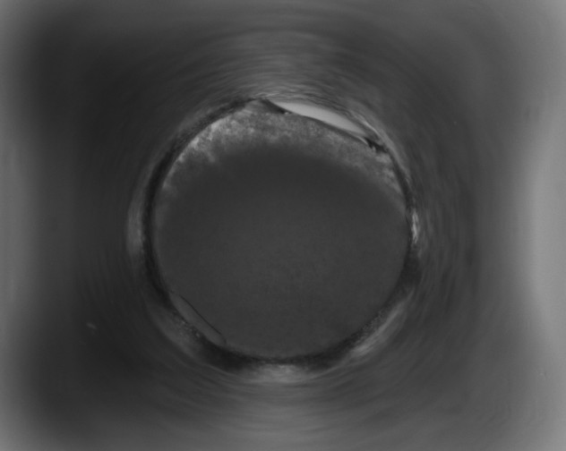 X0000087530203200705251706