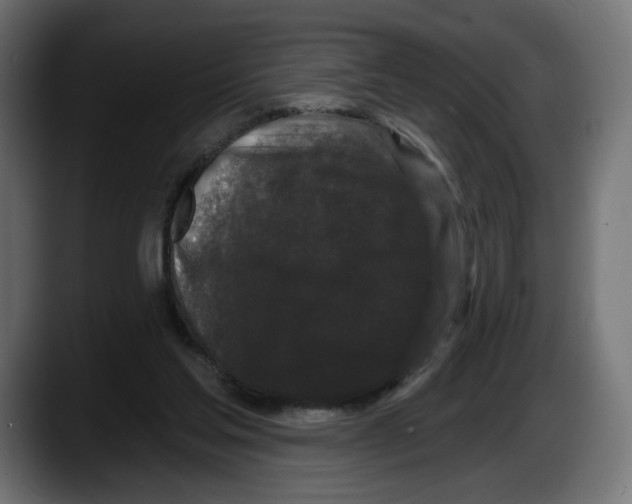 X0000087530205200705251706