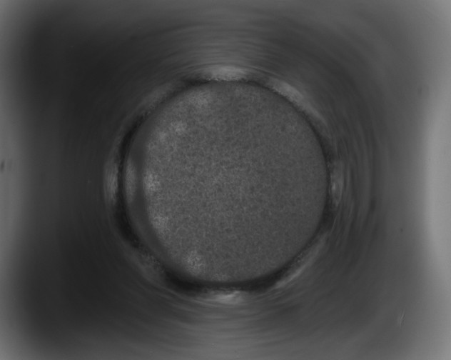 X0000087530206200705251706