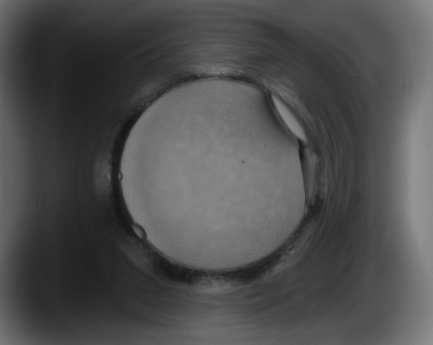 X0000087530207200705251706