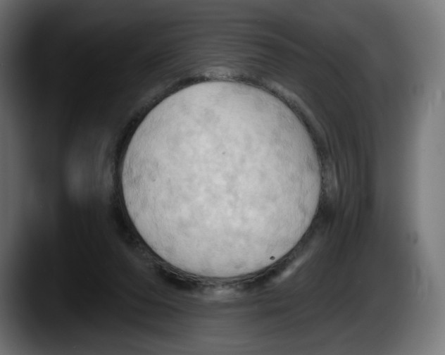 X0000087530208200705251706