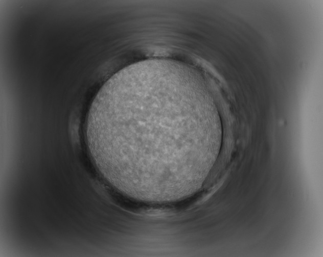 X0000087530209200705251706