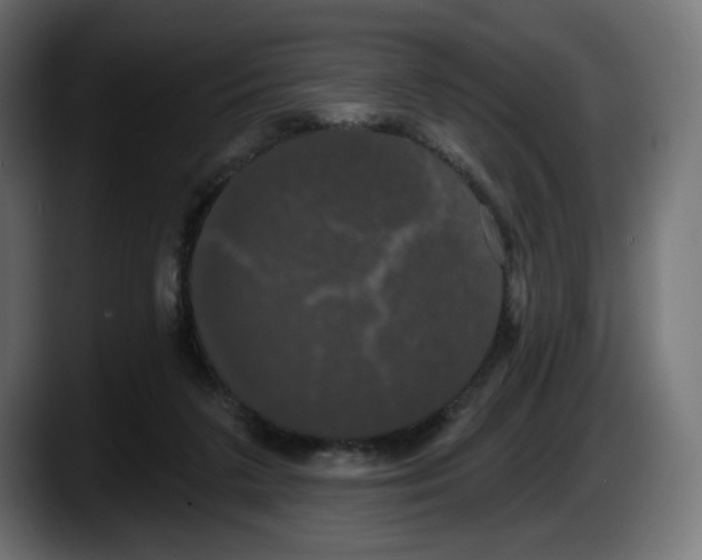 X0000087530211200705251706